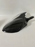 Hinterradabdeckung Carbon Ducati 1098, 1198, 848