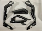 Carbon-Rahmen-Schwingenschoner Triumph Daytona 675 2013-