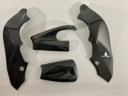 Carbon Rahmen+Schwingenschoner Kawasaki ZX10R 2006-2007